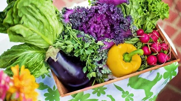 verdure e verdure nella dieta della dieta ducana